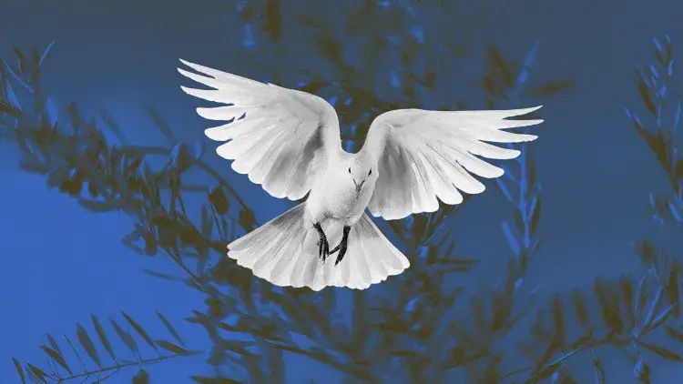 Why PeaceTech must be the next frontier of innovation and investment